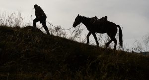 Трое хлопцаў скралі са склада амаль тону збожжа. Іх затрымалі проста ў цэнтры Гродна Трое хлопцаў скралі са склада амаль тону збожжа. Іх затрымалі проста ў цэнтры Гродна