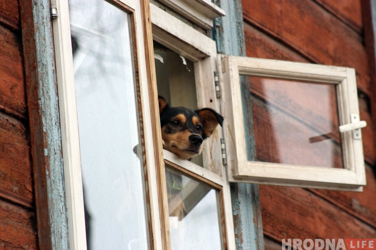 "Такую красоту надо ценить". Почему фотографка снимает молодожёнов в атмосфере Нового света