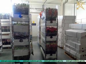 У Літве за два месяцы затрымалі палову абароту цыгарэт за 2019 год