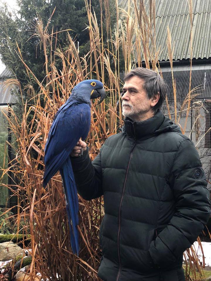 "Попугаи могут впасть в депрессию и не найти себе пару". Орнитологи и зоозащитники про гродненскую "Попугайню"