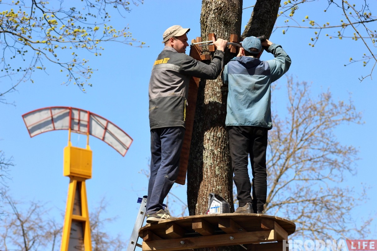 У парку Жылібера ствараюць вяровачны гарадок. Абяцаюць, што дрэвы не пацерпяць У парку Жылібера ствараюць вяровачны гарадок. Абяцаюць, што дрэвы не пацерпяць