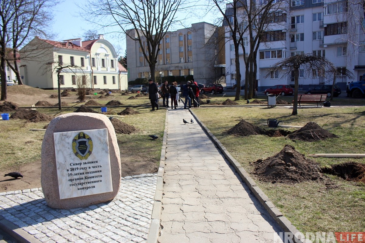 В центре Гродно заложили новый сквер из 30 кленов