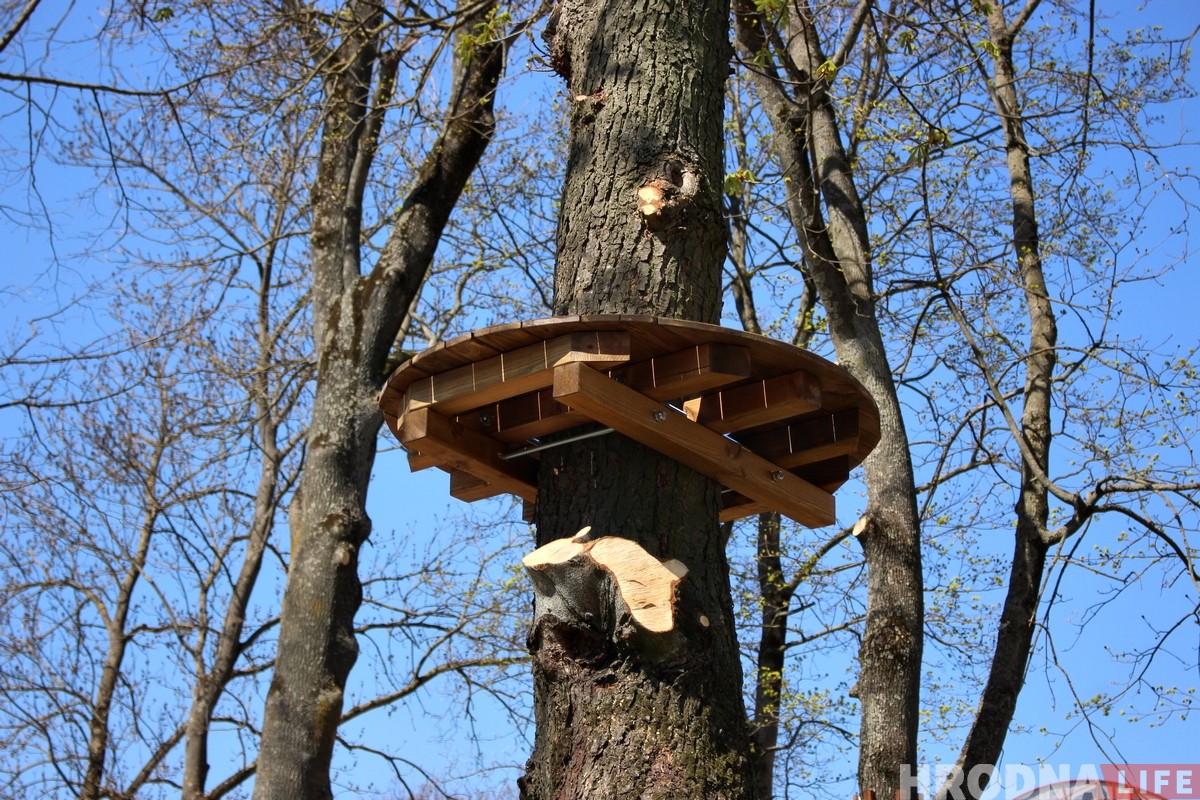 У парку Жылібера ствараюць вяровачны гарадок. Абяцаюць, што дрэвы не пацерпяць У парку Жылібера ствараюць вяровачны гарадок. Абяцаюць, што дрэвы не пацерпяць