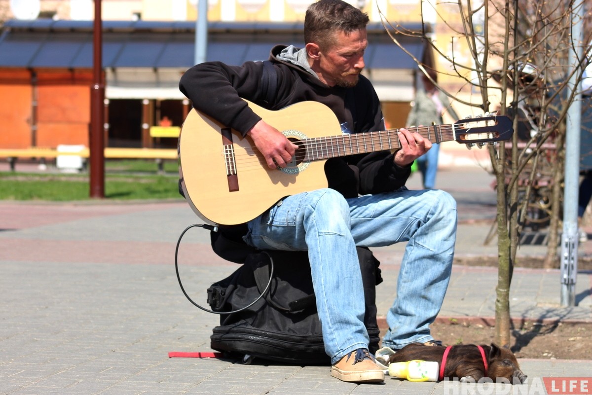 "Фунціка маглі загрызці". Музыкант выратаваў парася і цяпер яны ўсюды разам "Фунціка маглі загрызці". Музыкант выратаваў парася і цяпер яны ўсюды разам