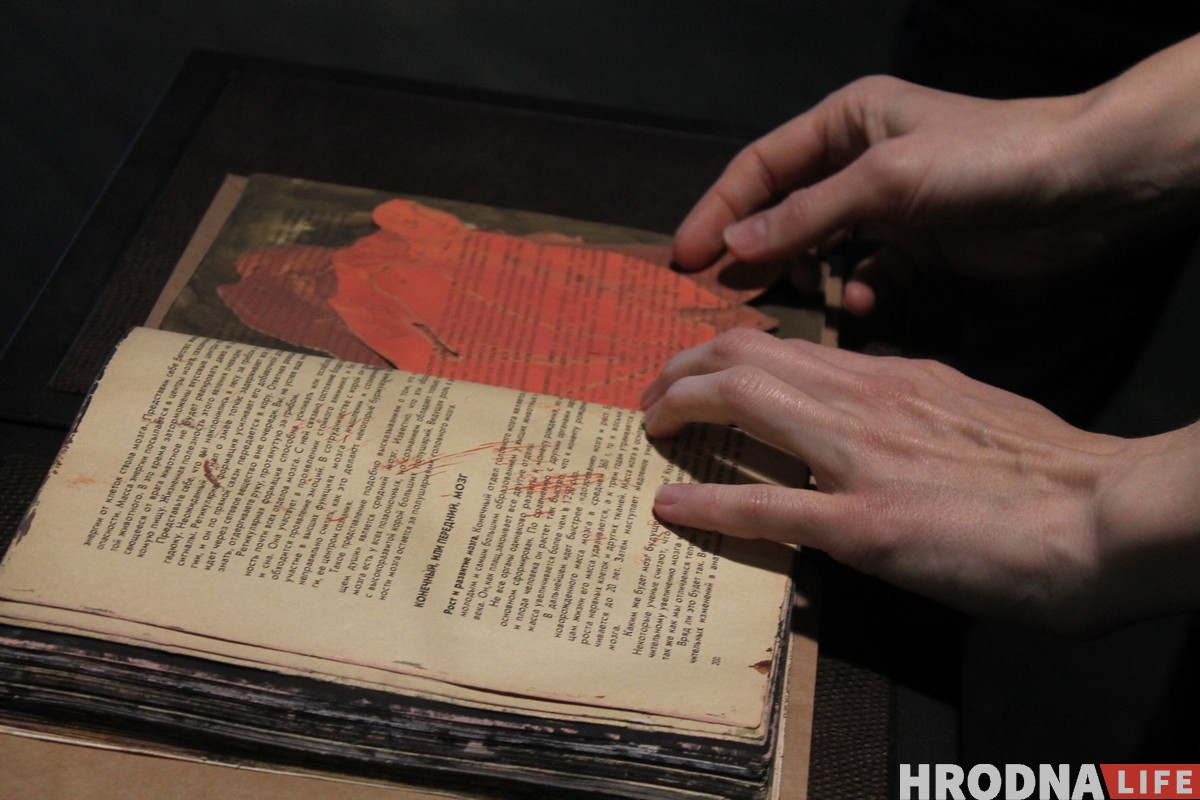 Гродзенка малявала аўтапартрэты 365 дзён запар. Глядзіце, што атрымалася