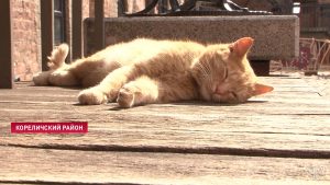 Сяргей Марозаў здымае для гродзенскай міліцыі "блокбастар"