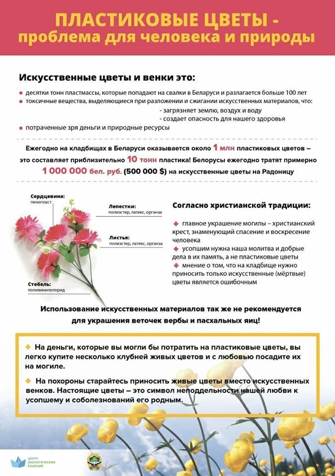 Беларусы просят запретить продажу пластиковых цветов