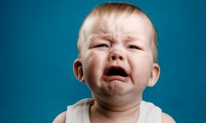 Пчолы, танкі, Мыйдадзір. Дзень сям'і ў Гродне адзначылі парадам калясак