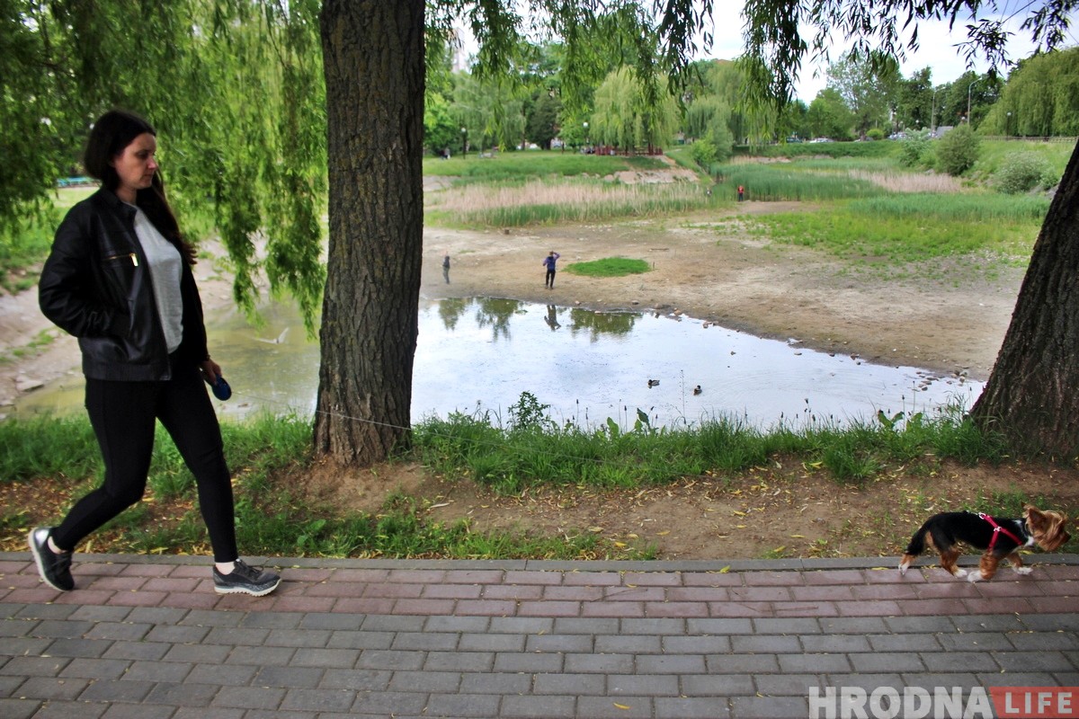 Пруд на Репина, который помнит Понятовского, высыхает. Его будут спасать