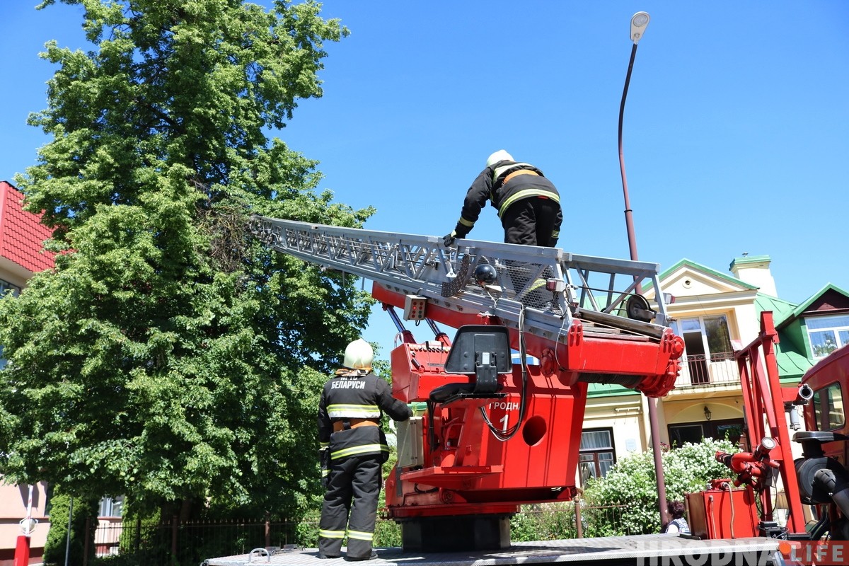 Глядзіце, як у цэнтры Гродна ратавалі Малыша (але ён потым знік) Глядзіце, як у цэнтры Гродна ратавалі Малыша (але ён потым знік)