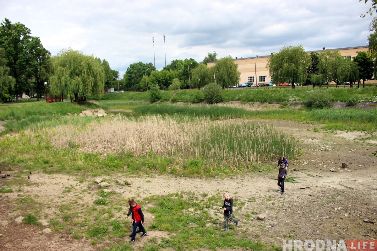 Пруд на Репина, который помнит Понятовского, высыхает. Его будут спасать