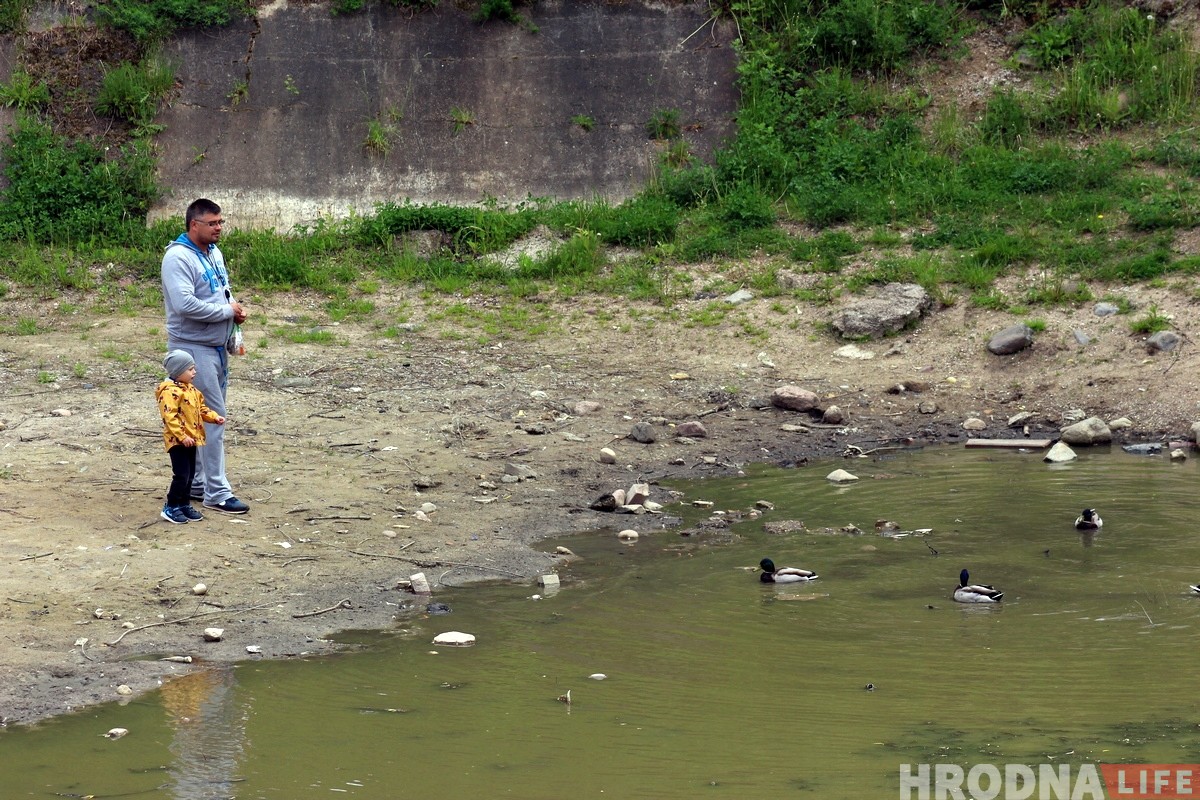 Пруд на Репина, который помнит Понятовского, высыхает. Его будут спасать