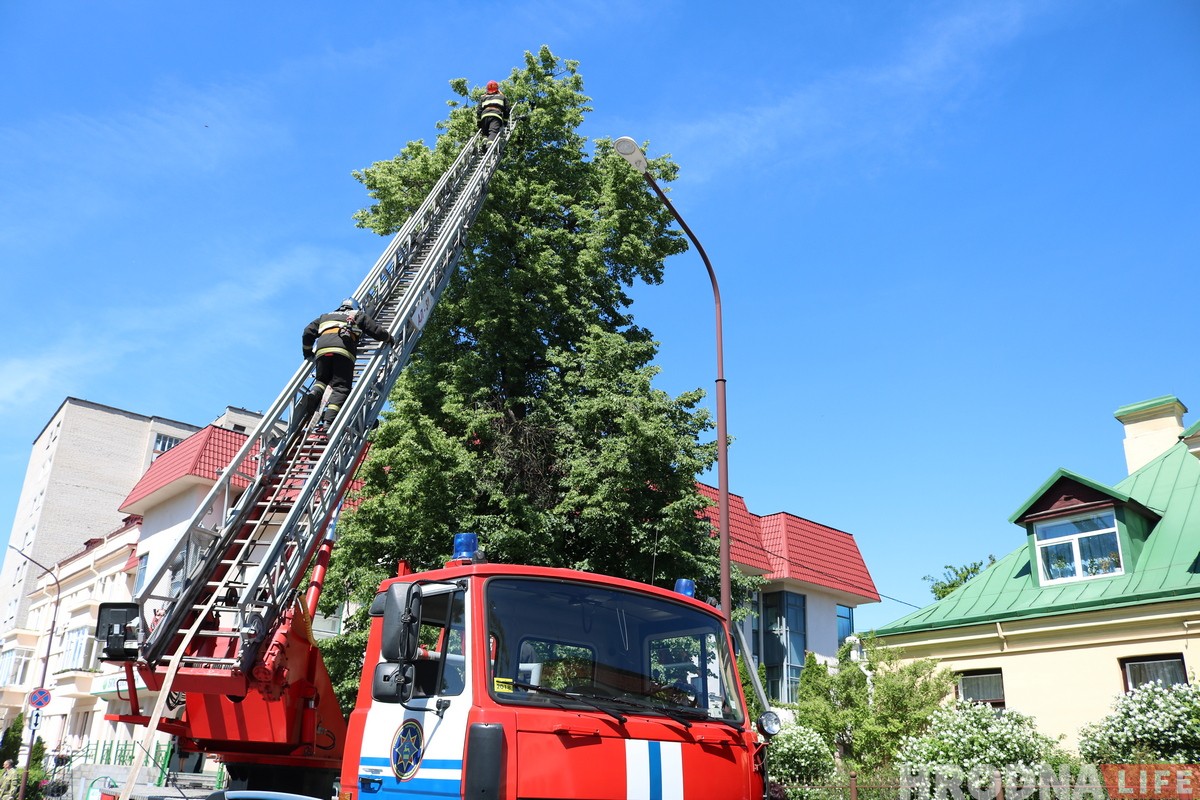 Глядзіце, як у цэнтры Гродна ратавалі Малыша (але ён потым знік) Глядзіце, як у цэнтры Гродна ратавалі Малыша (але ён потым знік)