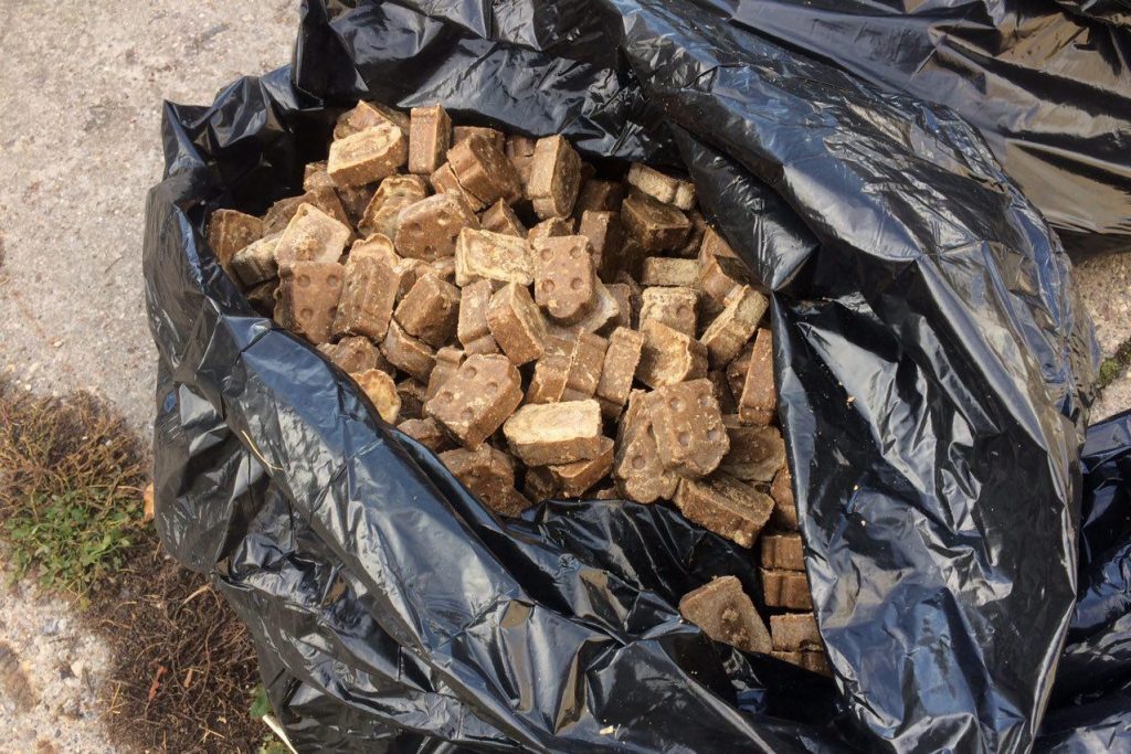 Беражыце галовы. Уздоўж мяжы з Еўрасаюзам з самалётаў раскідваюць вакцыны-прынады для жывёл