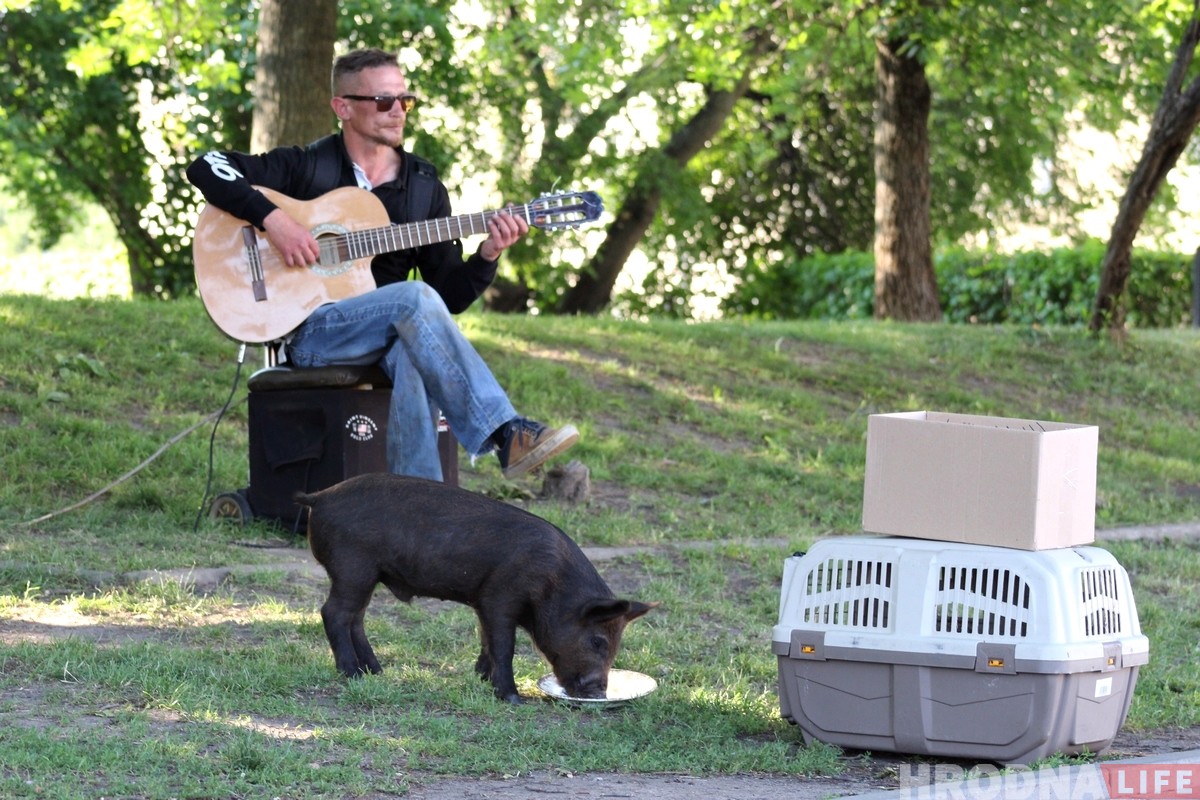 «Цяжка было расставацца». Парася Фунцік і вулічны музыкант скончылі выступаць у Гродне «Цяжка было расставацца». Парася Фунцік і вулічны музыкант скончылі выступаць у Гродне