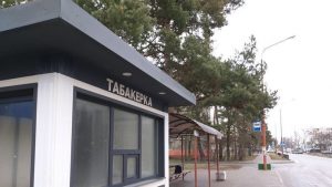 Пад Гродна вырошчваюць ягады годжы - упершыню ў Беларусі