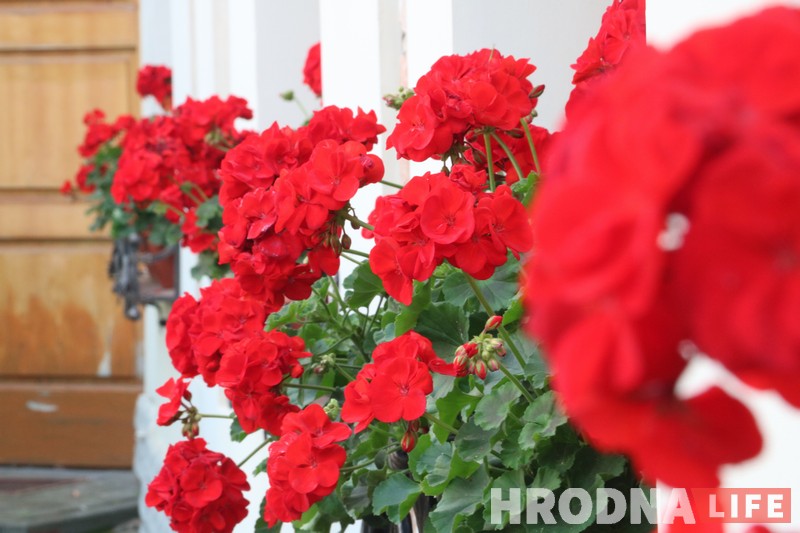 Аляксандр Краўчук працягвае знаёміць Гродна з джазавымі гісторыямі і выканаўцамі Аляксандр Краўчук працягвае знаёміць Гродна з джазавымі гісторыямі і выканаўцамі