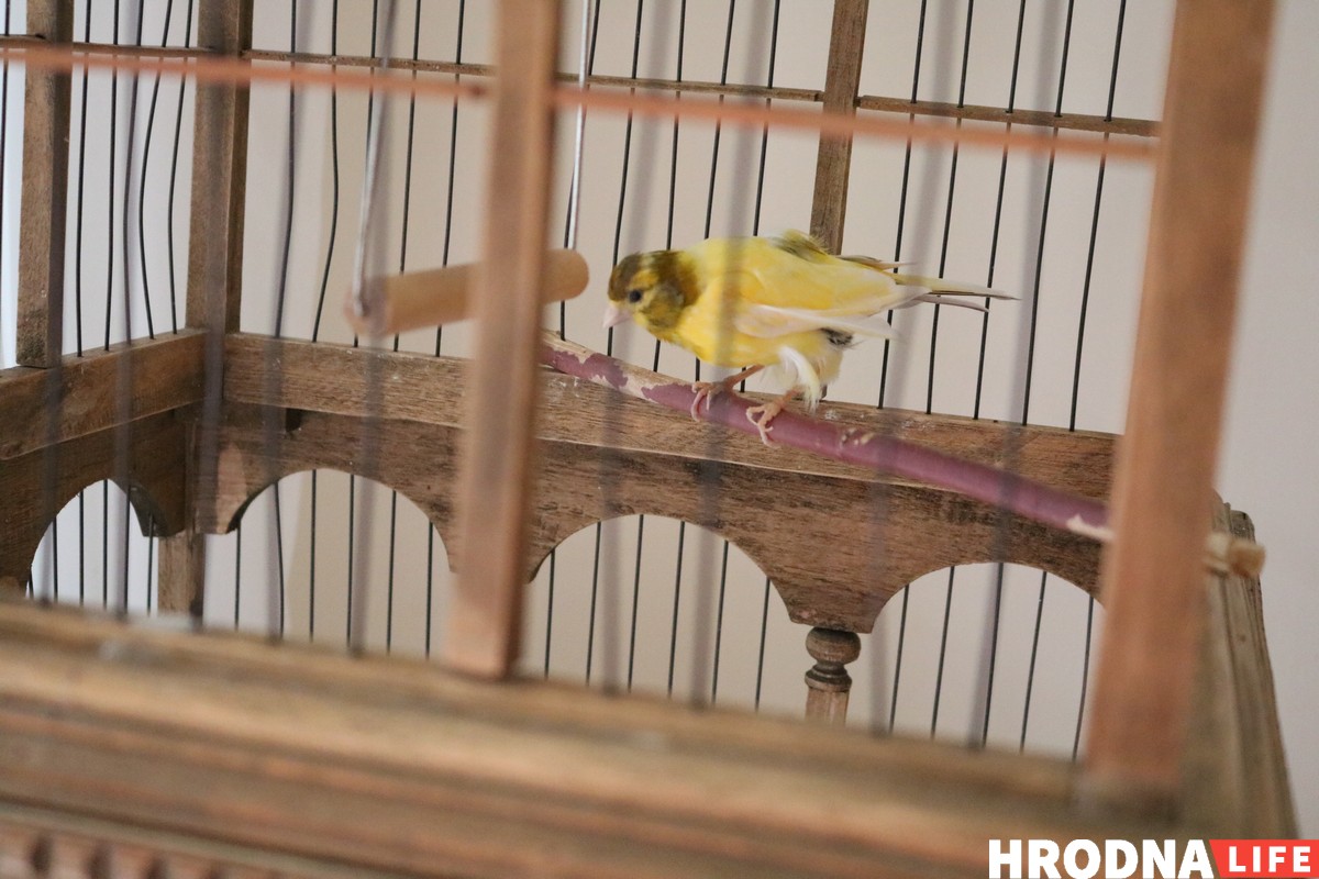 Ці свеціць Беларусі зорка "Мішлена": у Гродне прайшла вячэра ад французскага шэф-кухара Ці свеціць Беларусі зорка "Мішлена": у Гродне прайшла вячэра ад французскага шэф-кухара