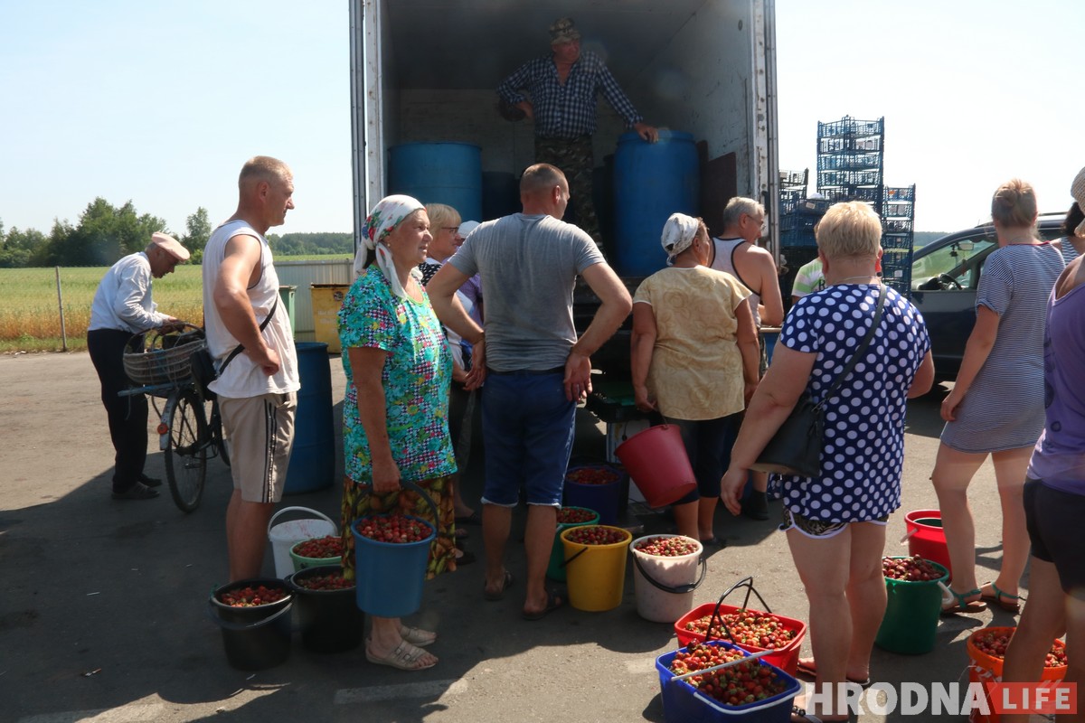 Гарачая клубнічка і чорная пятніца. Колькі насамрэч каштуе беларуская ягада