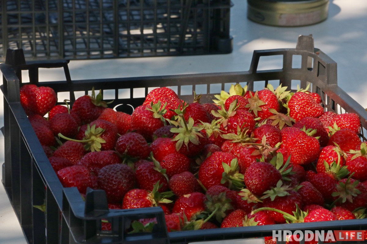 Гарачая клубнічка і чорная пятніца. Колькі насамрэч каштуе беларуская ягада