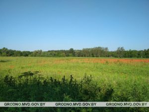 Вользе Бондаравай не падабаюцца мужчынскія члены і сэкс: актывістка звярнулася ў пракуратуру