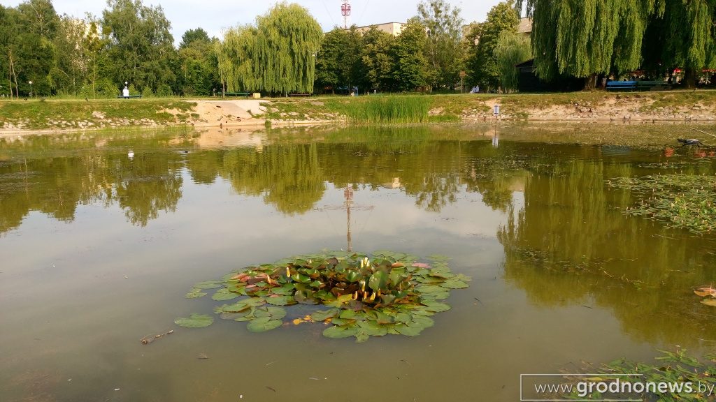 "Гродзенская праўда" абвяргае "экалагічную катастрофу" ў парку воінаў-афганцаў