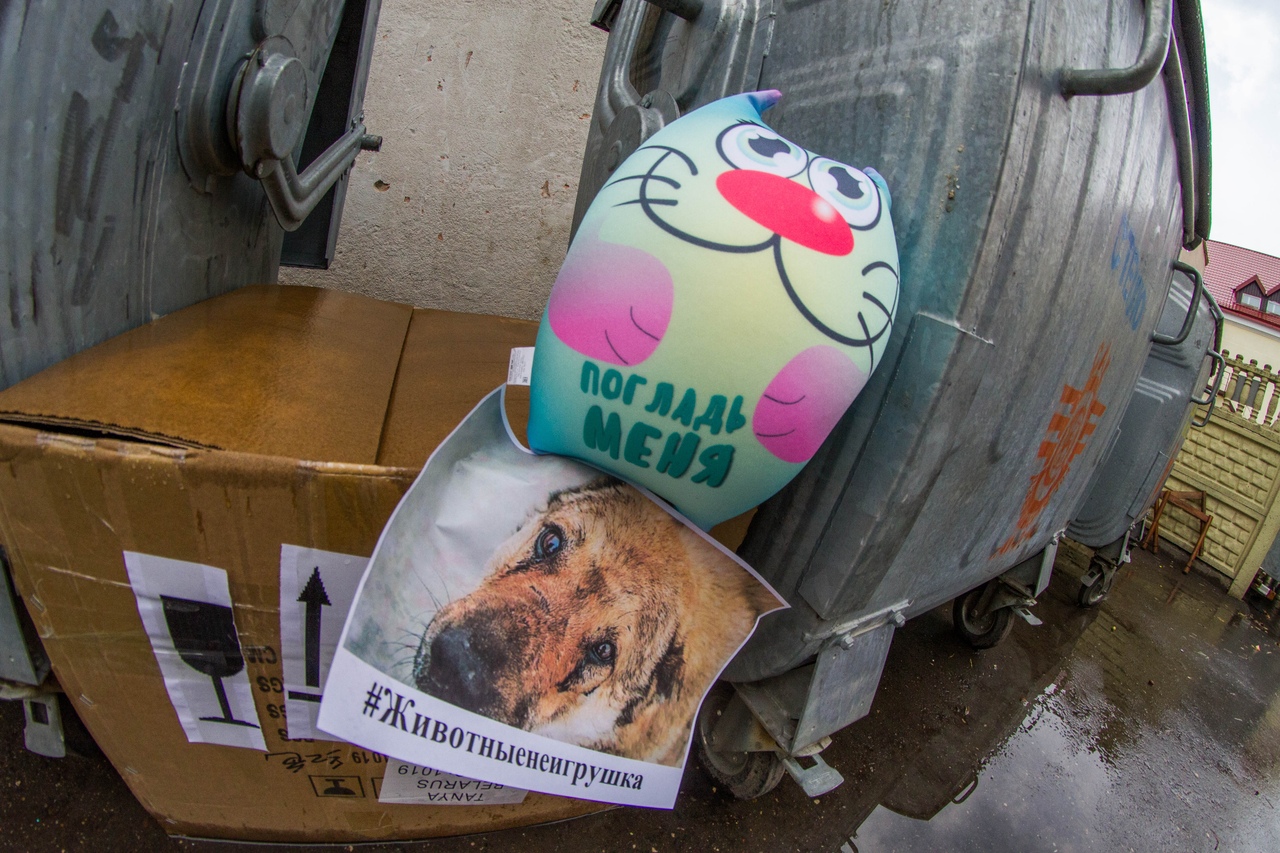 В Гродно выкидывают на мусорки плюшевые игрушки, чтобы поддержать бездомных животных