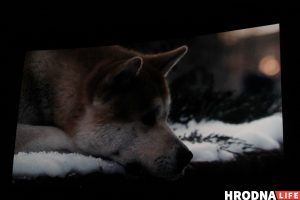 «Я заўсёды была модніцай». Вазочніца з Гродна збіраецца на конкурс прыгажосці