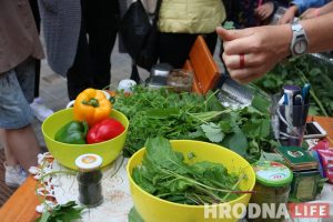 Елі крапіву і пілі смузі з лебяды. Як прайшла дэгустацыя страваў і напояў з мясцовых зёлак Елі крапіву і пілі смузі з лебяды. Як прайшла дэгустацыя страваў і напояў з мясцовых зёлак