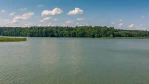 "Зялёная сетка" абвяшчае фотаконкурс да акцыі "Гадзіна Зямлі". Будуць прызы