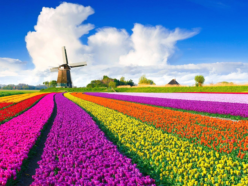 “Из Гродно – шоколад, из Амстердама – сыр”. Дипломат из Нидерландов рассказал, что еще взять с собой на память о путешествиях