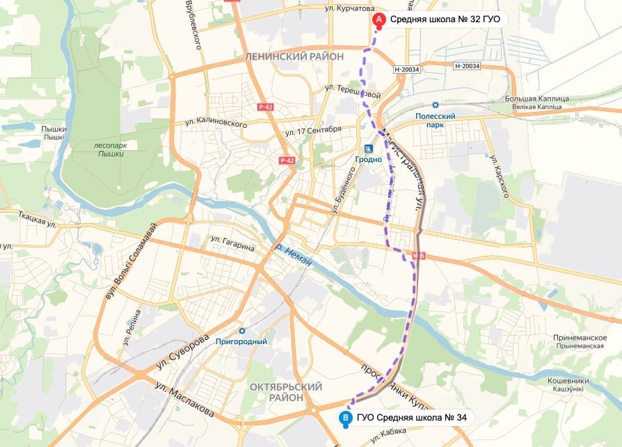 Девочка ездит на уроки через все Гродно, после того как чиновники расформировали ее белорусскоязычный класс