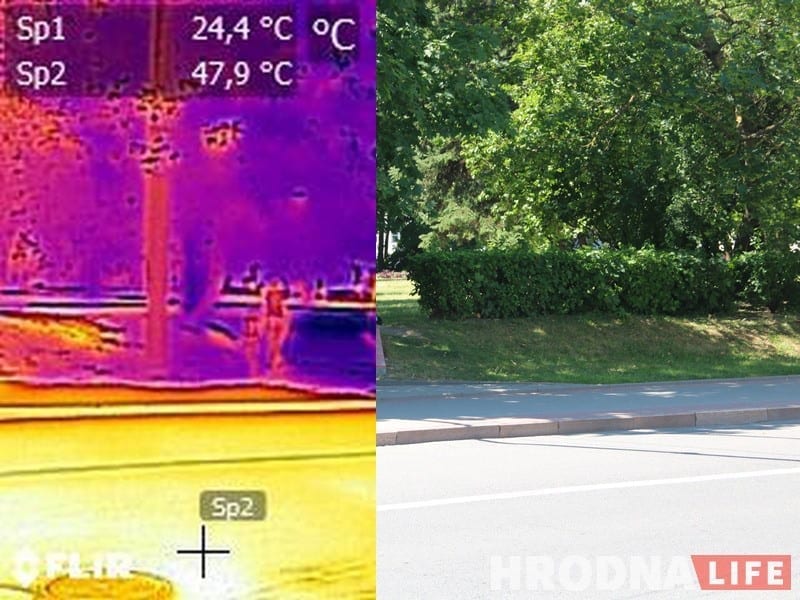 Хочаш каб у Гродне з'явіліся газоны-кветнікі? Падтрымай петыцыю!