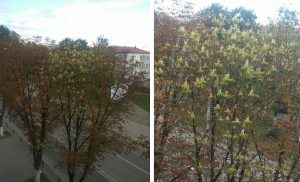 У Гродне забаранілі купацца на Юбілейным возеры. Дзе можна?