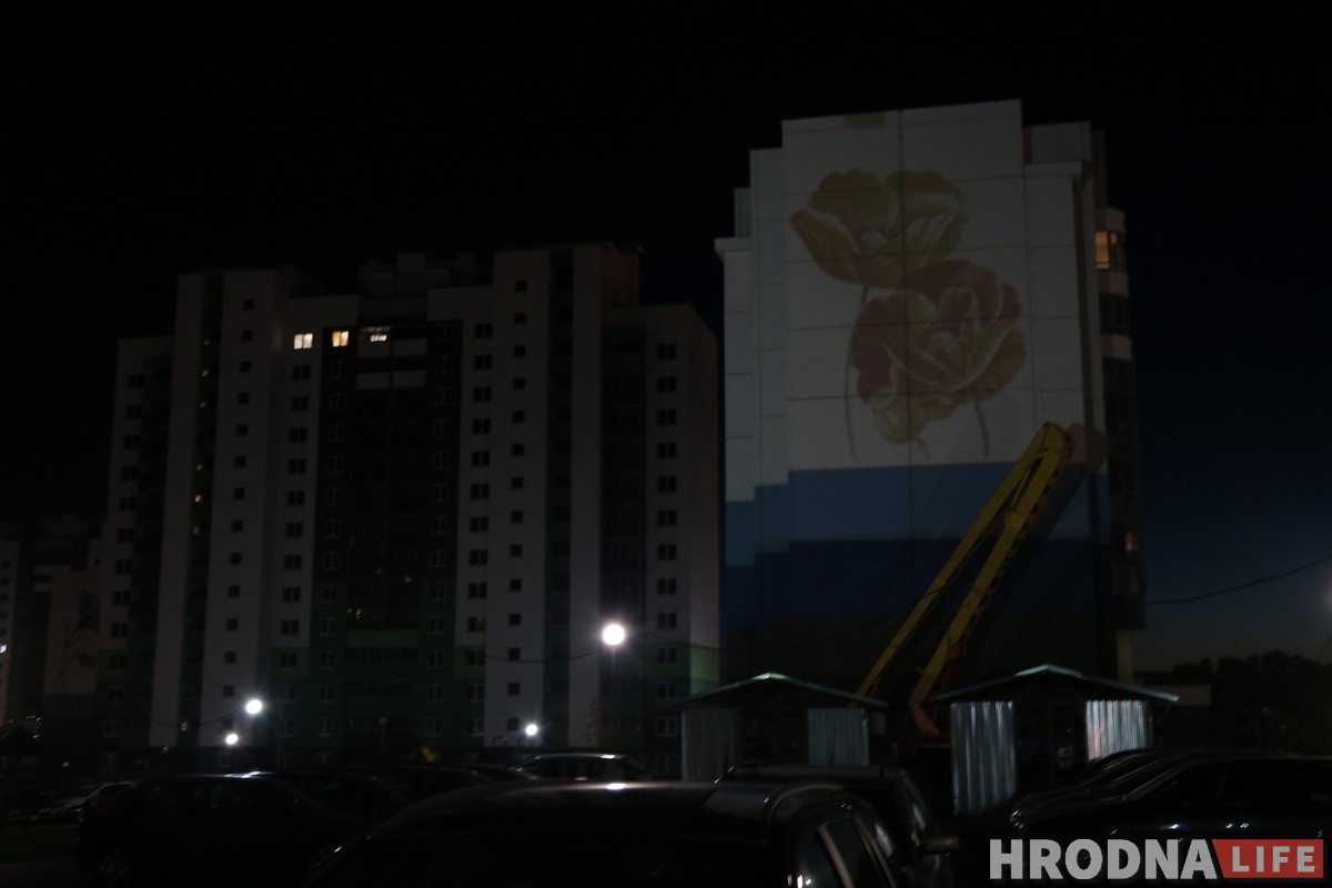 Сланечнік, валошка і мак: У Гродне «расцвітаюць» шматпавярховікі