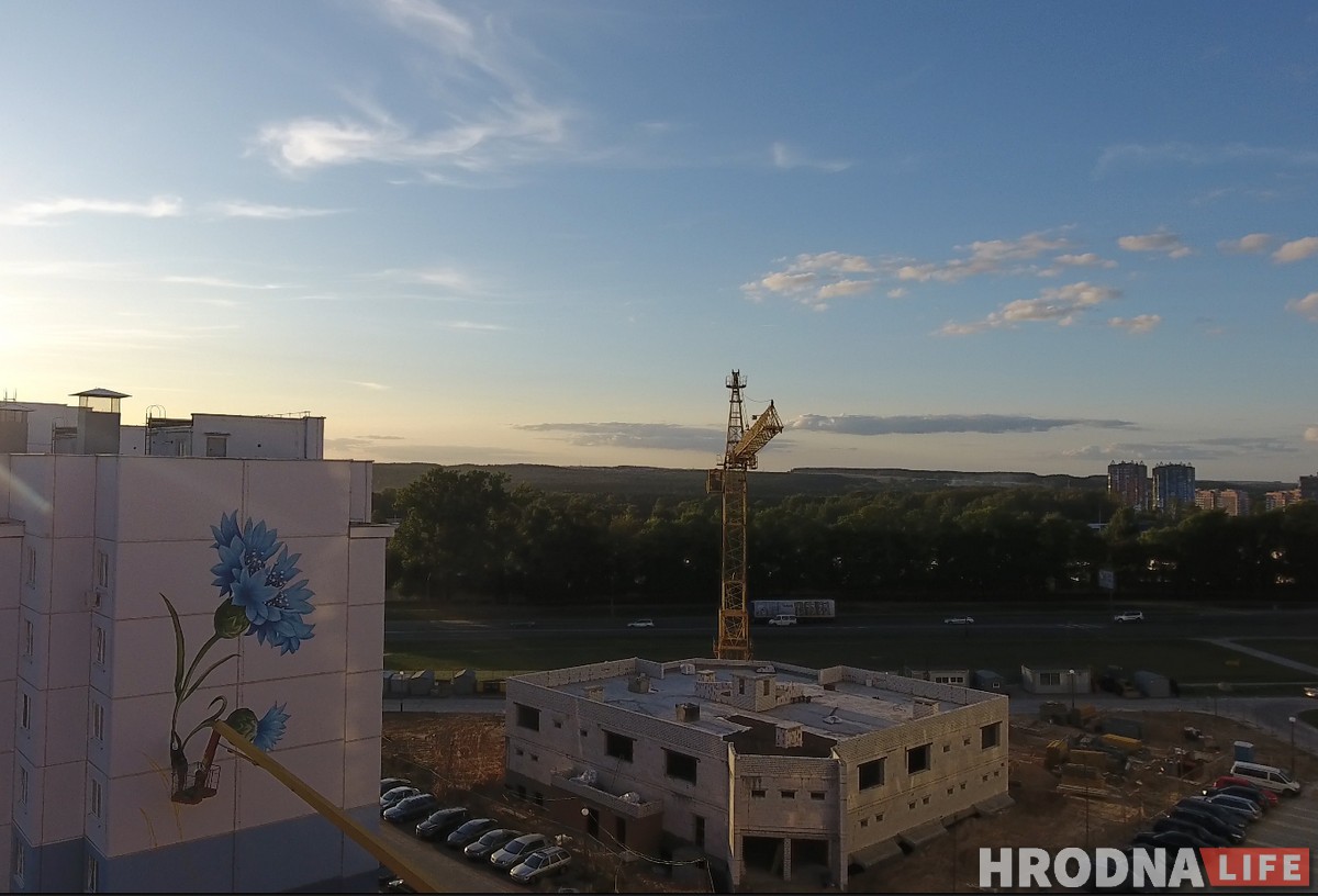 Сланечнік, валошка і мак: У Гродне «расцвітаюць» шматпавярховікі