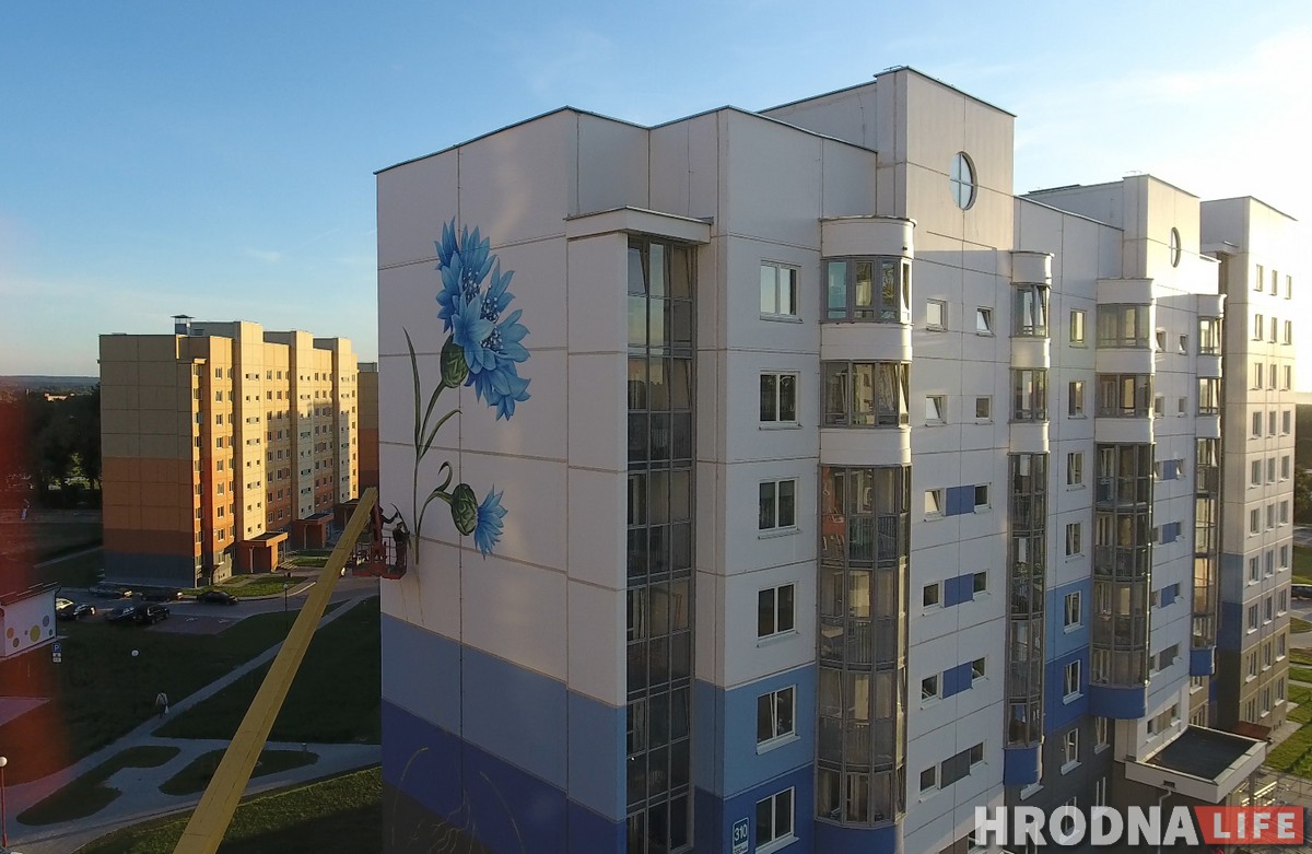 Сланечнік, валошка і мак: У Гродне «расцвітаюць» шматпавярховікі