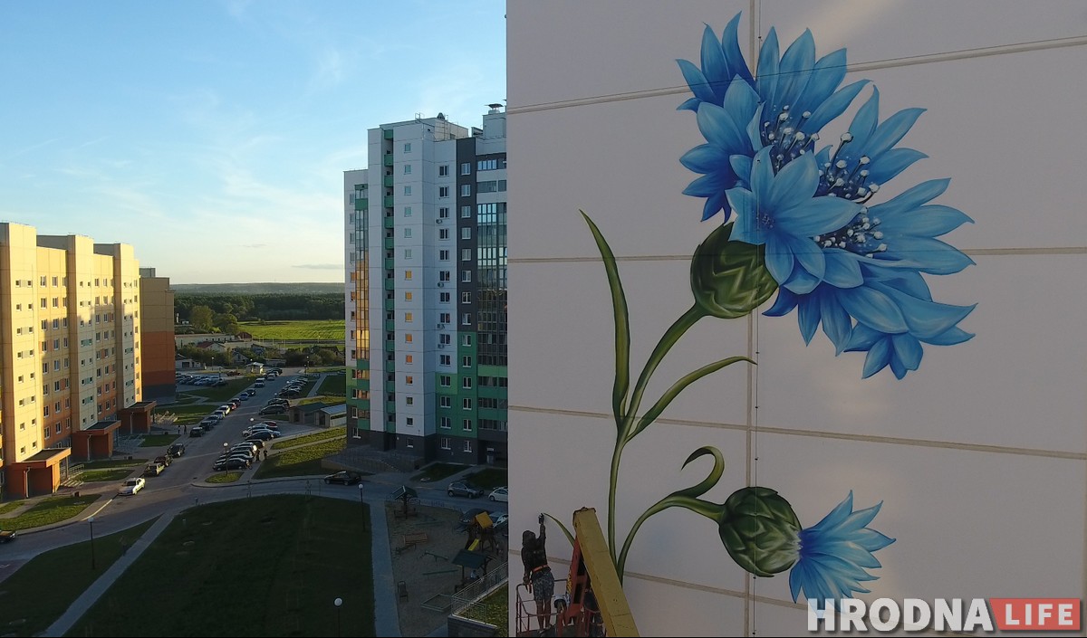 Сланечнік, валошка і мак: У Гродне «расцвітаюць» шматпавярховікі