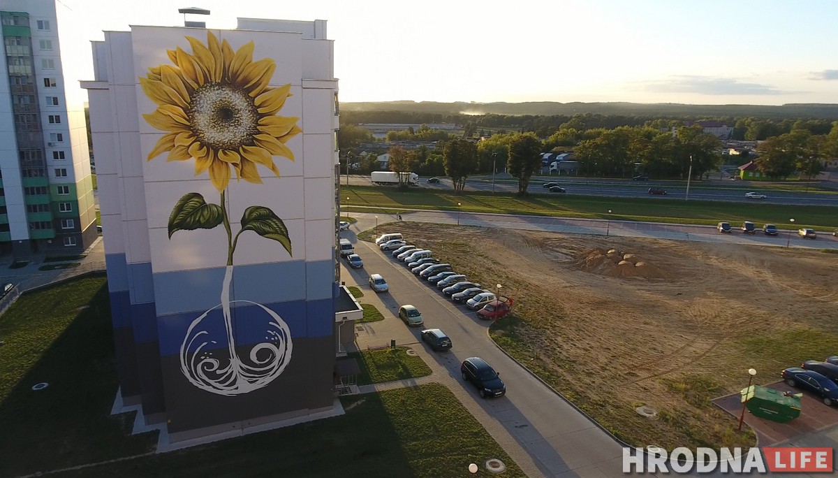 Сланечнік, валошка і мак: У Гродне «расцвітаюць» шматпавярховікі