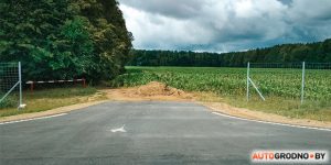 У Гродне прапануюць бясплатны шынамантаж для тых, хто возьме сабе сабаку ці котку У Гродне прапануюць бясплатны шынамантаж для тых, хто возьме сабе сабаку ці котку