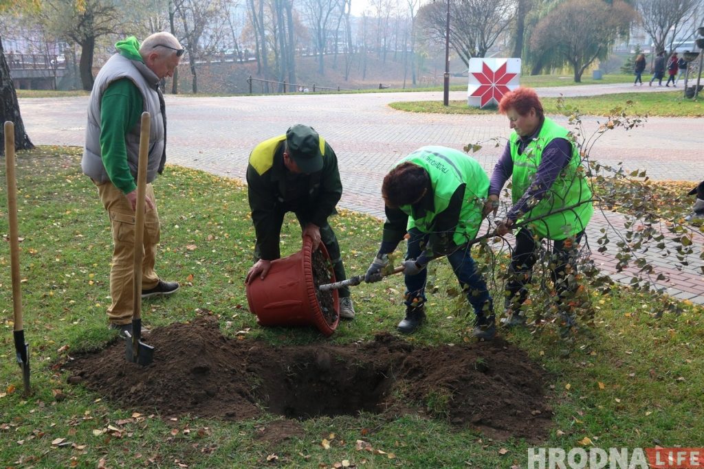 ботанический сад, парк Жилибера, Канюк