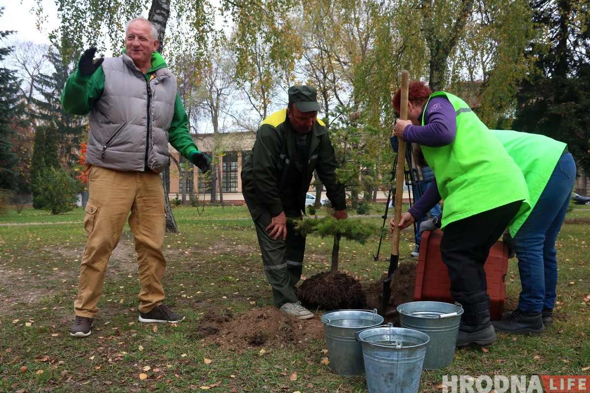 «Аддаў даўжок Наталлі Канюк». Батанічны сад у парку Жылібера папоўніўся новымі дрэвамі «Аддаў даўжок Наталлі Канюк». Батанічны сад у парку Жылібера папоўніўся новымі дрэвамі