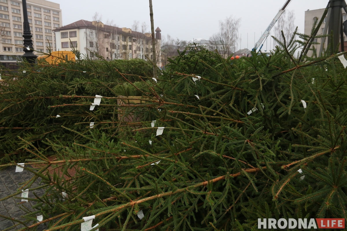 Праздник к нам приходит: на площади Ленина начали устанавливать главную елку города