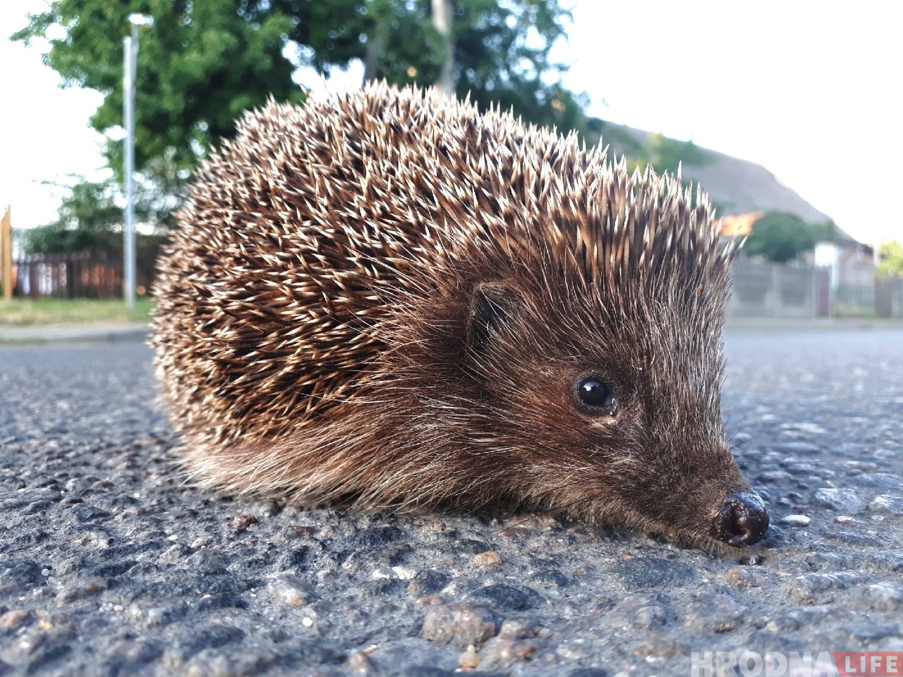 У Гродне стартаваў чарговы курс Школы Сучаснай Журналістыкі