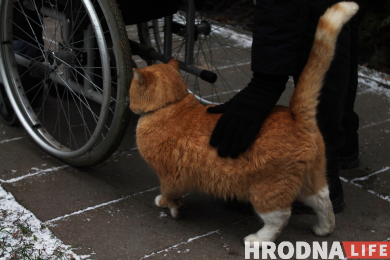 Праверылі, наколькі турыстычны Гродна даступны для людзей з інваліднасцю Праверылі, наколькі турыстычны Гродна даступны для людзей з інваліднасцю