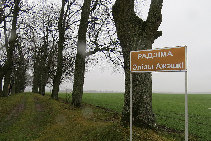 Як можа змяніцца радавое гняздо Элізы Ажэшкі ў Мількаўшчыне Фота: sb.by