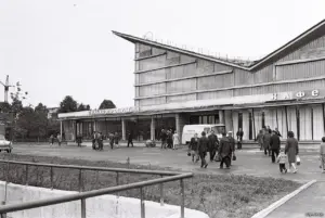 Басняцкія домікі. Як лёгка зрабіць яшчэ адну турыстычную атракцыю на Ажэшкі Архітэктура савецкага мадэрнізму Скідзельскі рынак