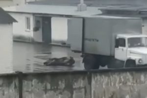 Фота: lidanews.by