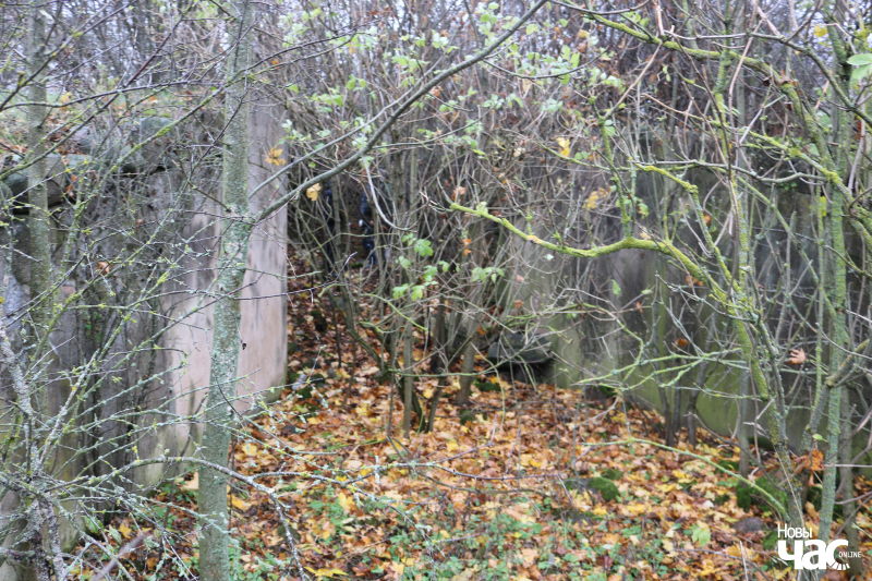 Такого в Беларуси еще не делали. Историческую часовню в Подороске отреставрируют стеклом