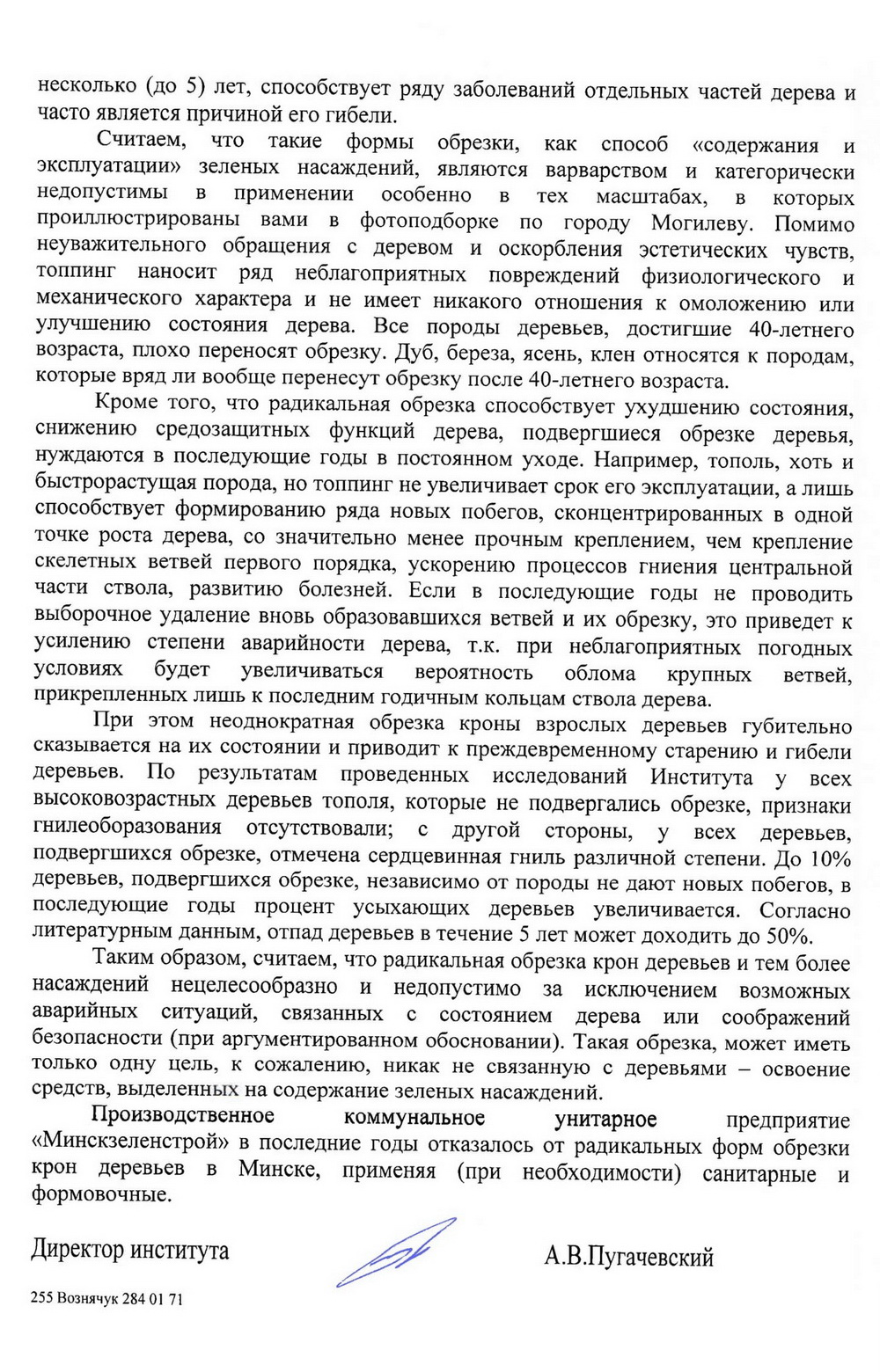 Дрэвы зноў абразаюць пад нуль. Што кажуць батанікі і ЖКГ? Дрэвы зноў абразаюць пад нуль. Што кажуць батанікі і ЖКГ?